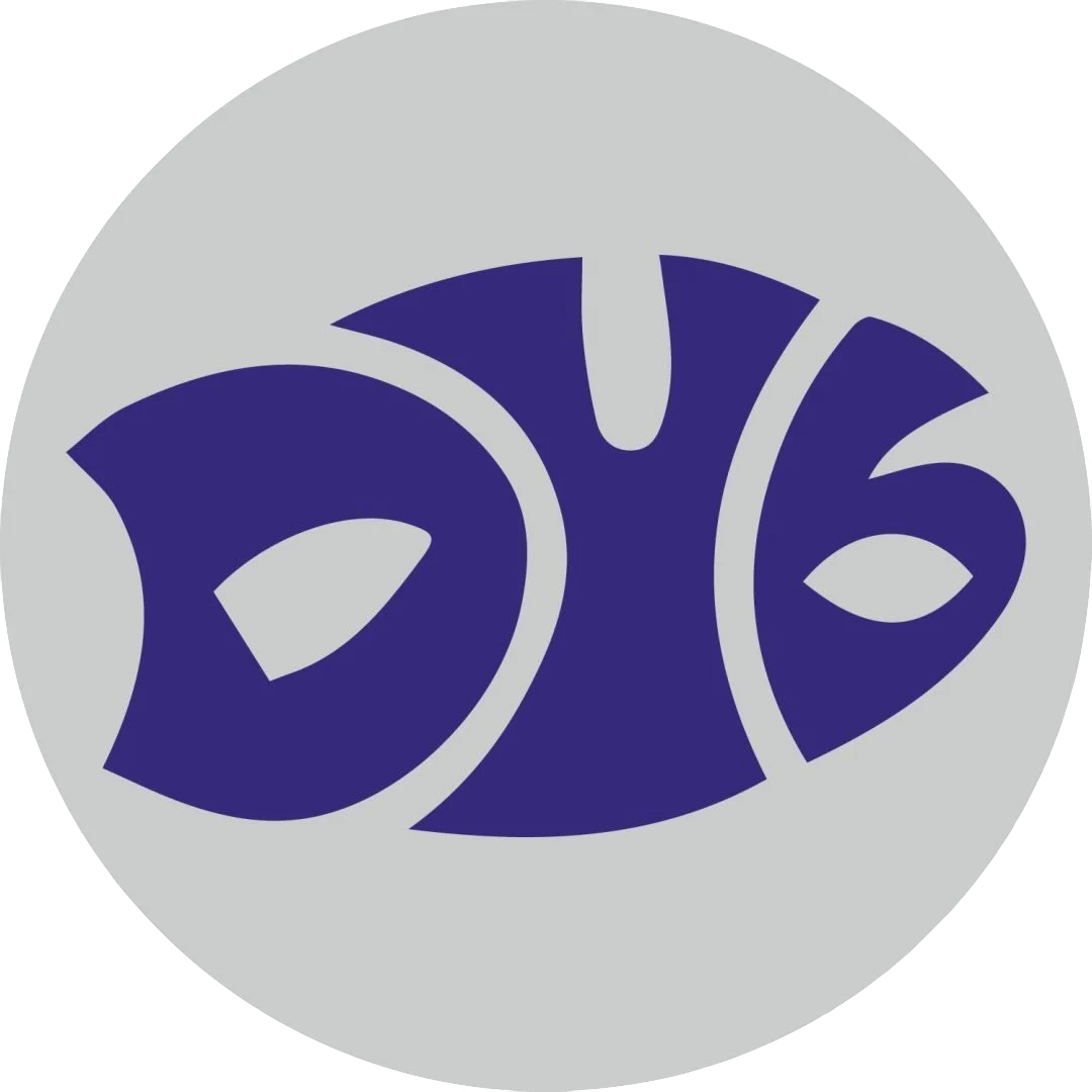 456 Dub street show pic