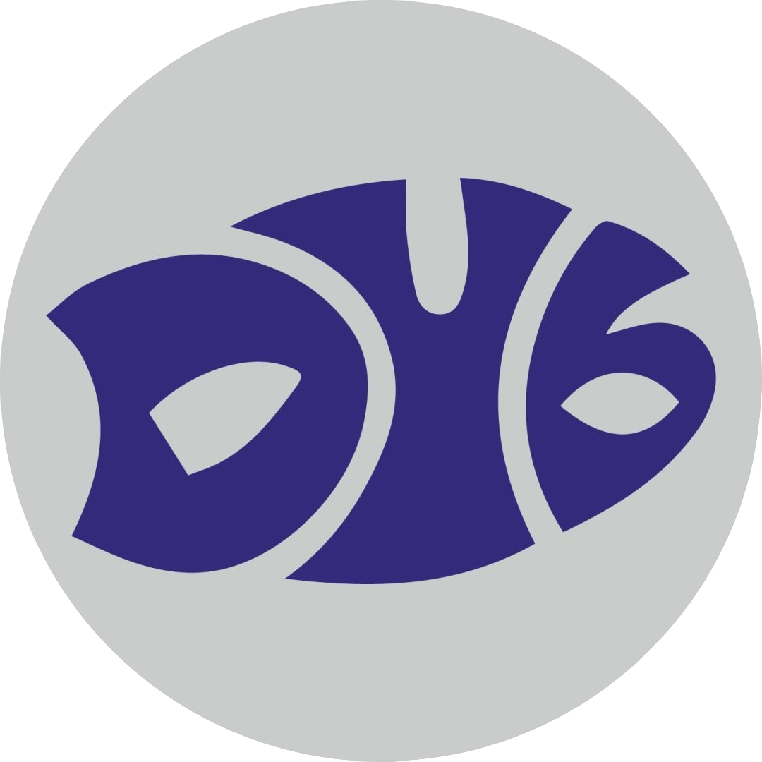 456 Dub street show pic