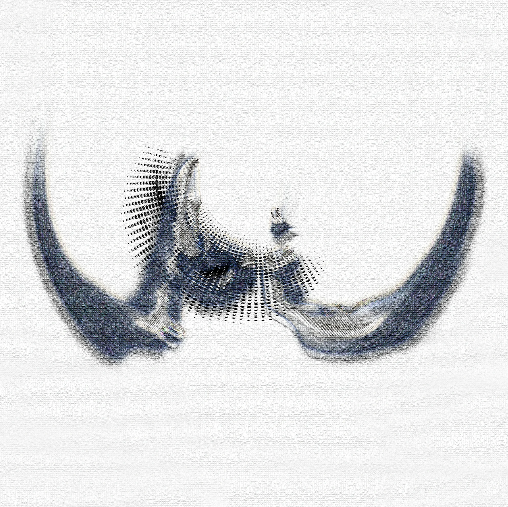 pi logo for nina center