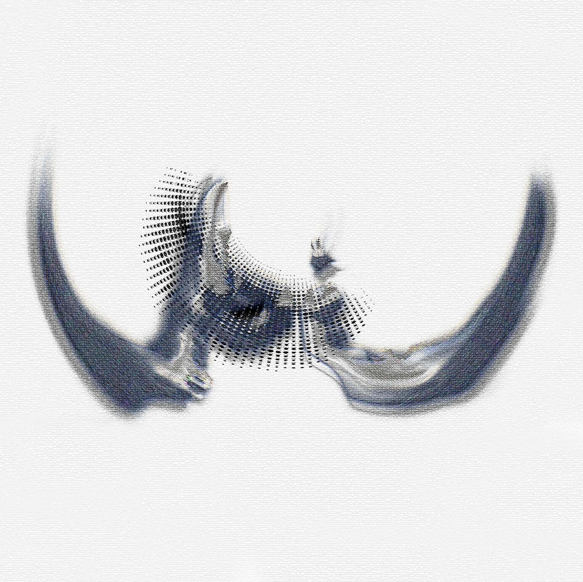 pi logo for nina center