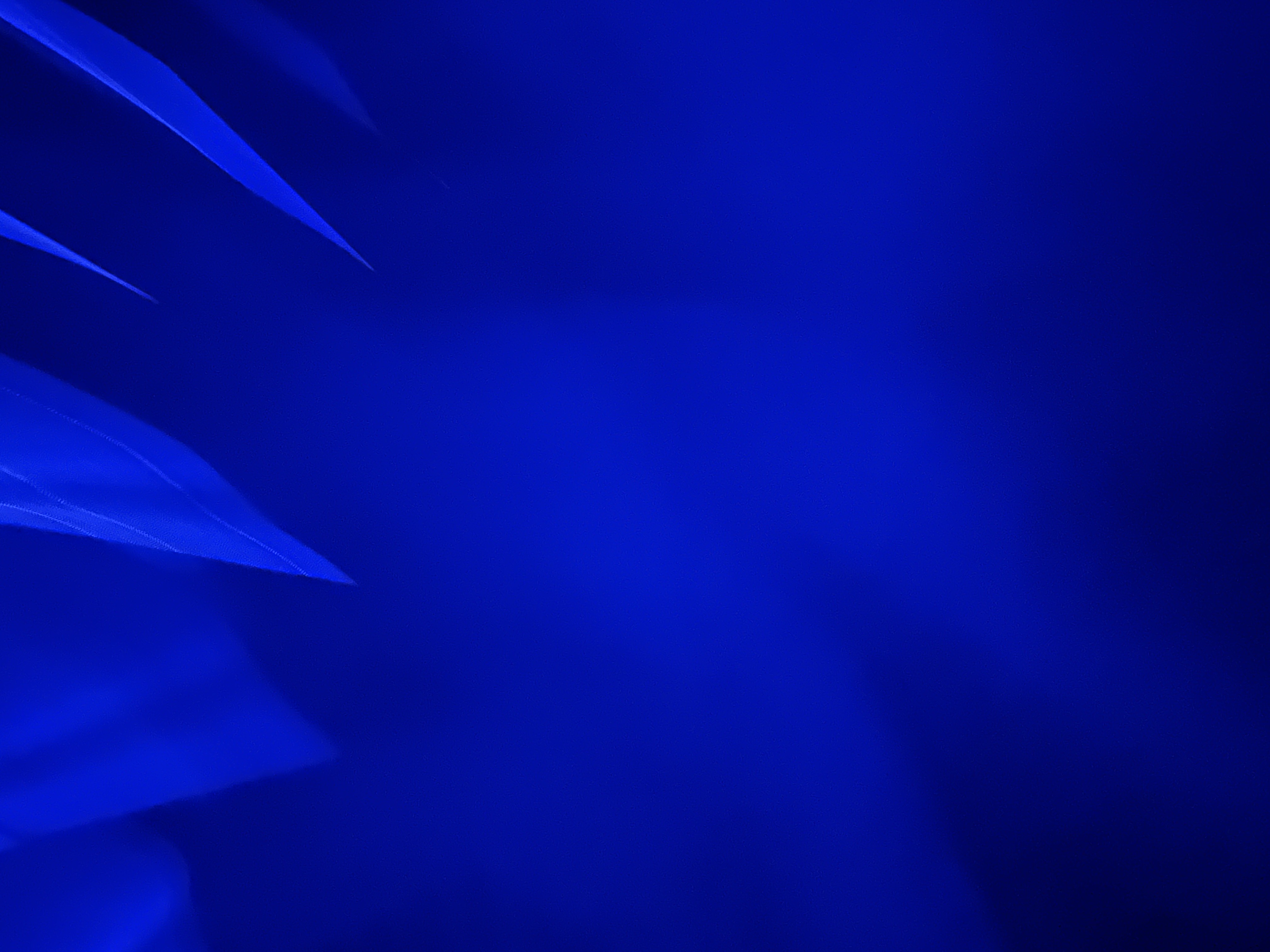 A SOUND PLACE with T.Wan & Lychee