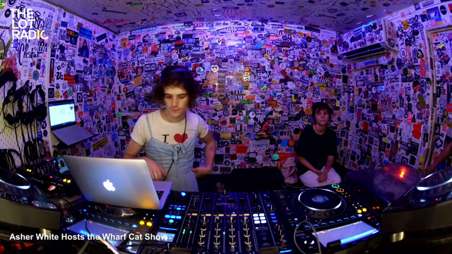 Asher White Hosts the Wharf Cat Show