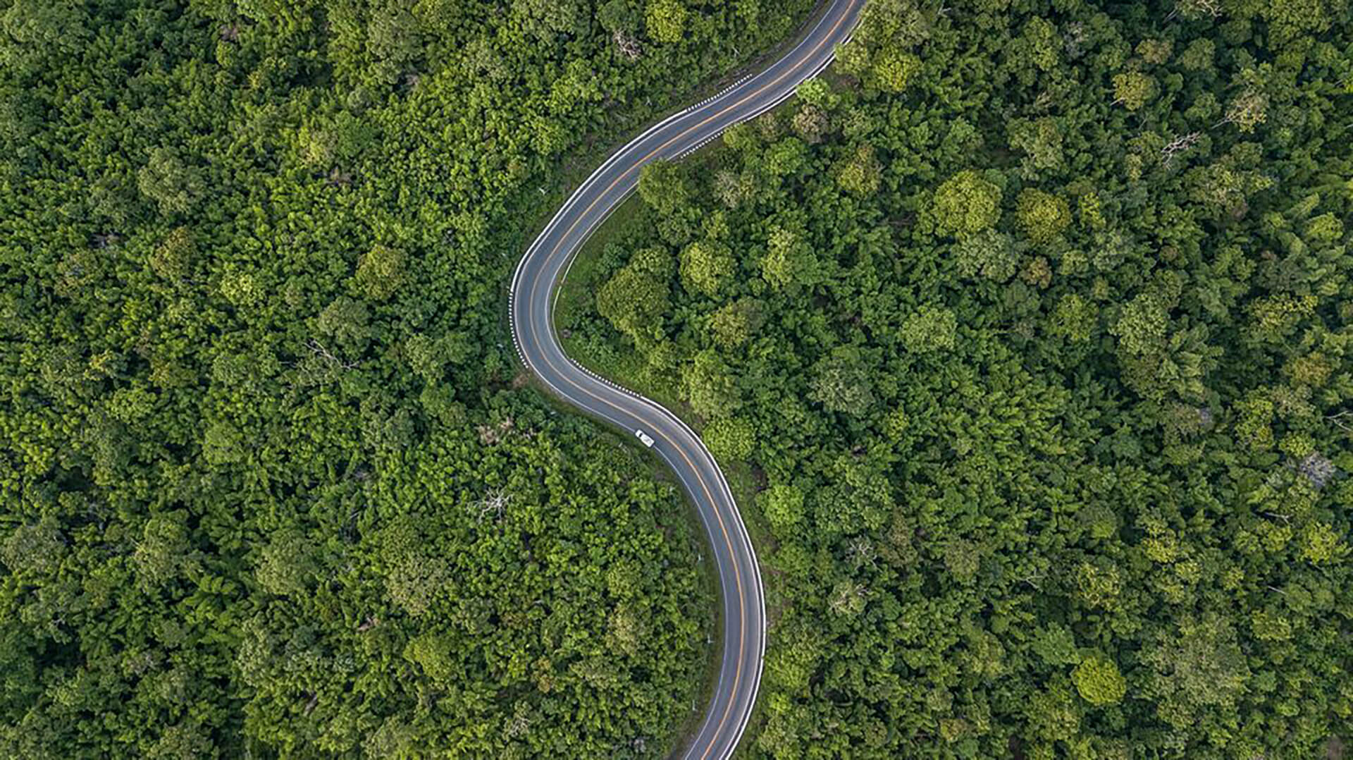 Road to carbon neutral. Winding road through forest.