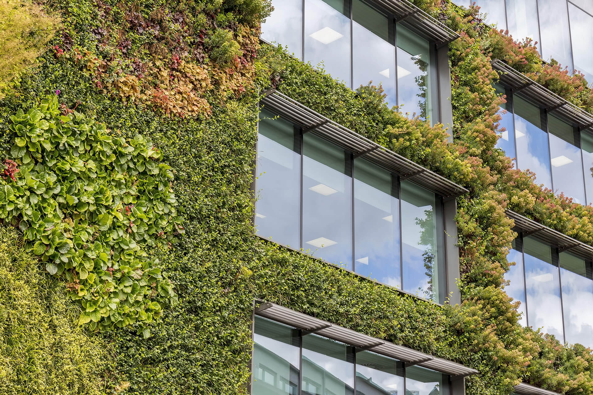 Business building implementing carbon reduction and sustainability initiatives.