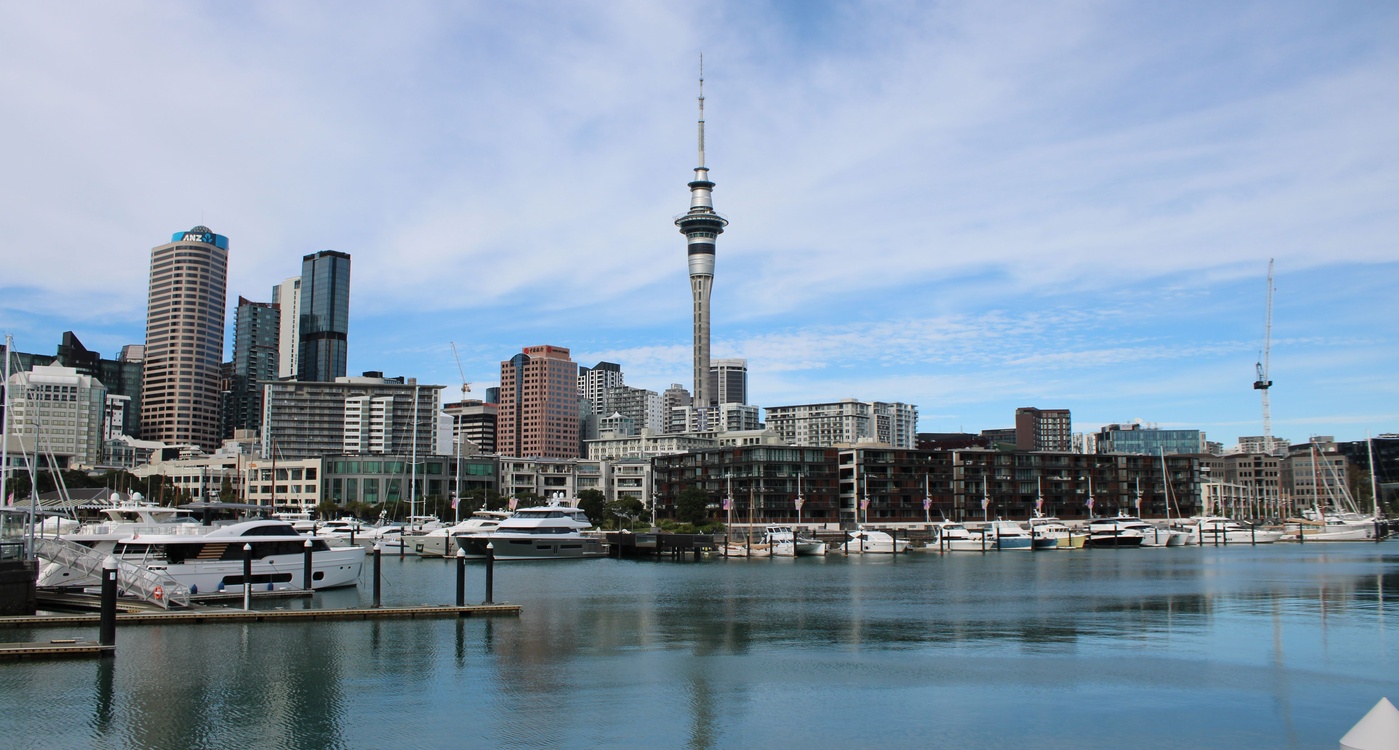 Woman overlooking Auckland