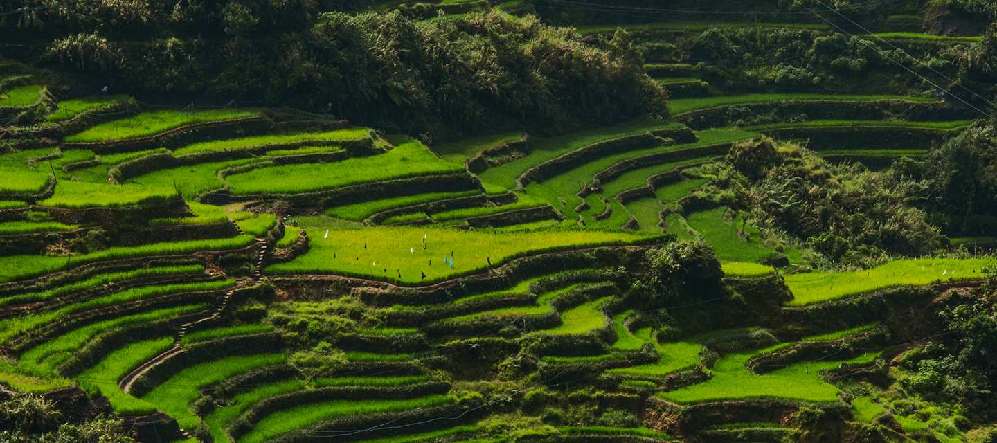 Image of the Philippines with Xe visual branding