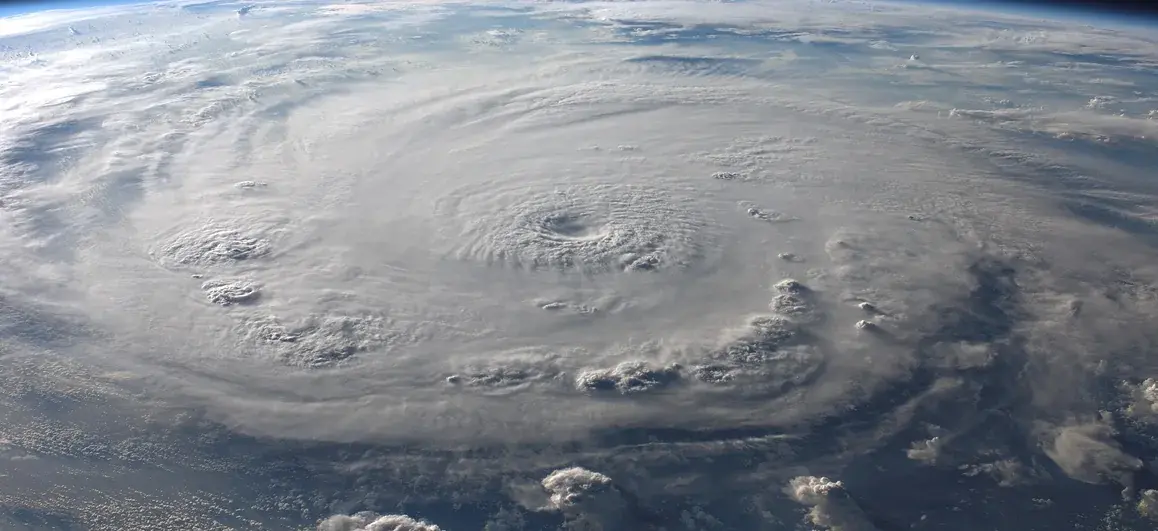 Spend less, invest the rest