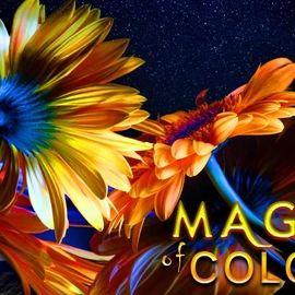 Impressive snow & show acts as well as a first-class ski show by the Serfaus ski school.