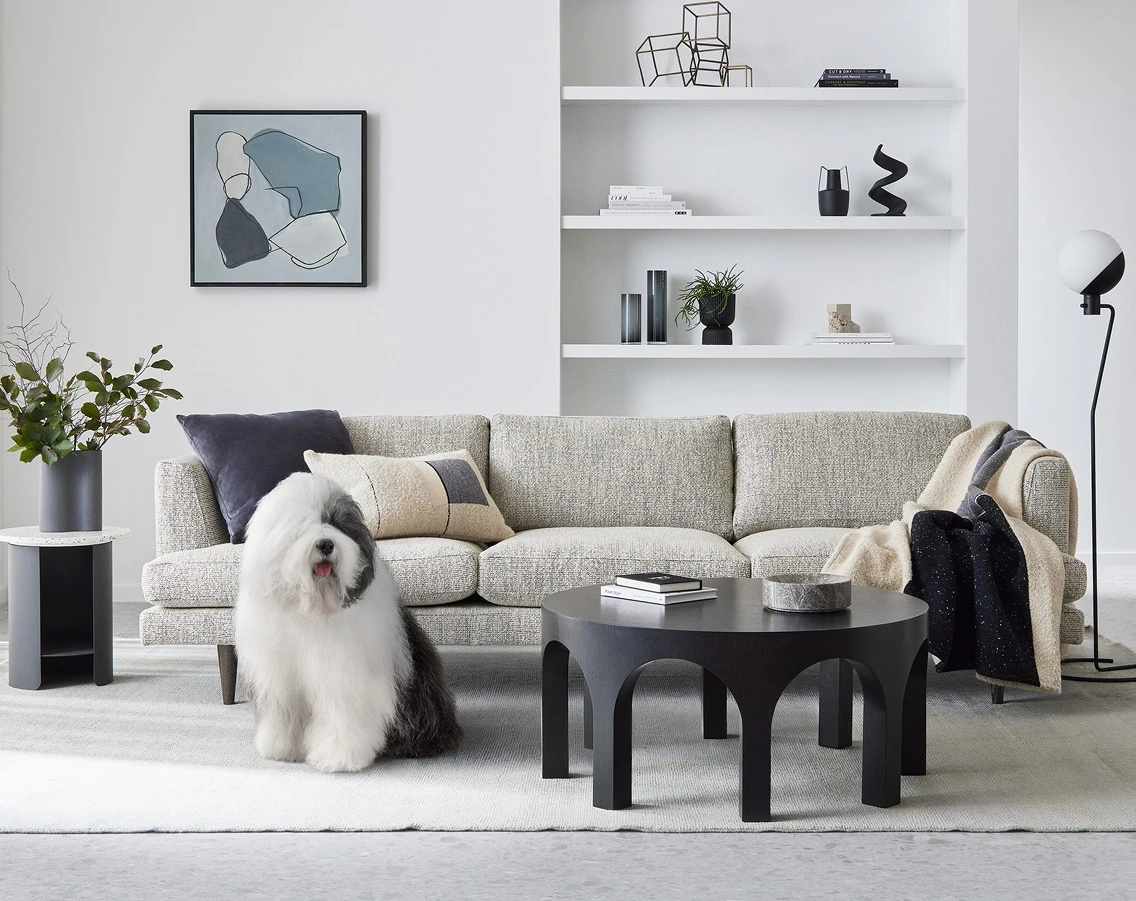 Interior living room with Lexicon Quarter featuring on back wall, Dulux dog, textured couch and coffee table.