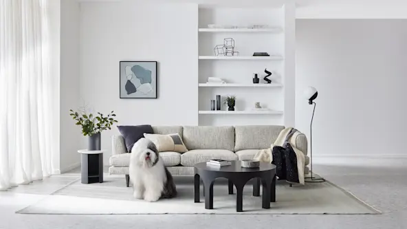 View Australia's Favourite White Paint Colours & Schemes | Dulux