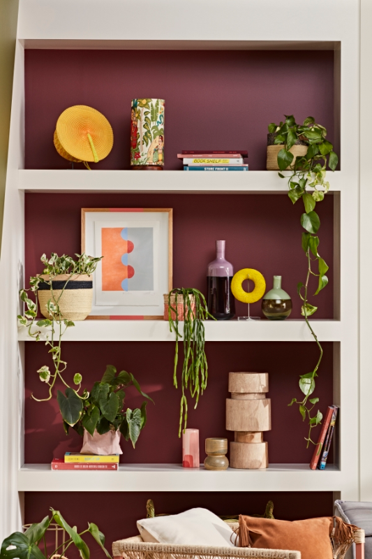 Plants and other objects on a bookshelf