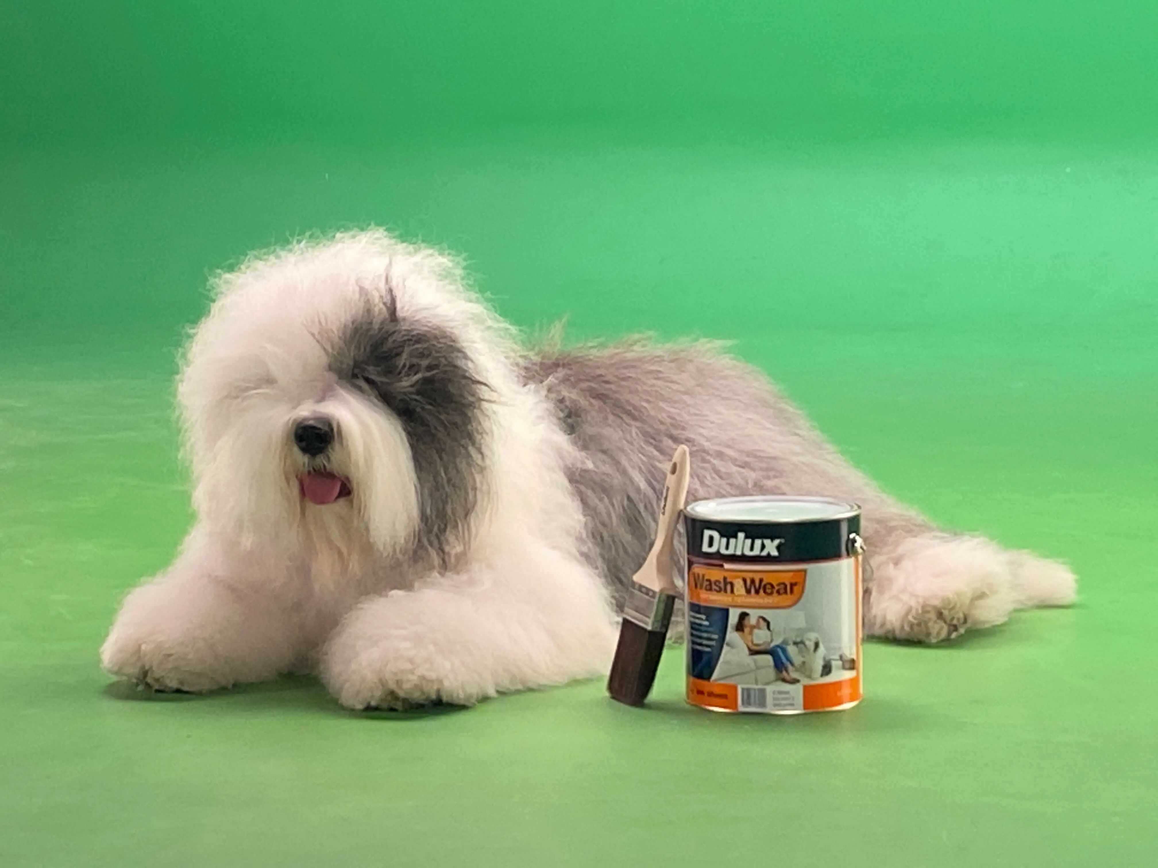 Tin of pink paint with brush resting on top.