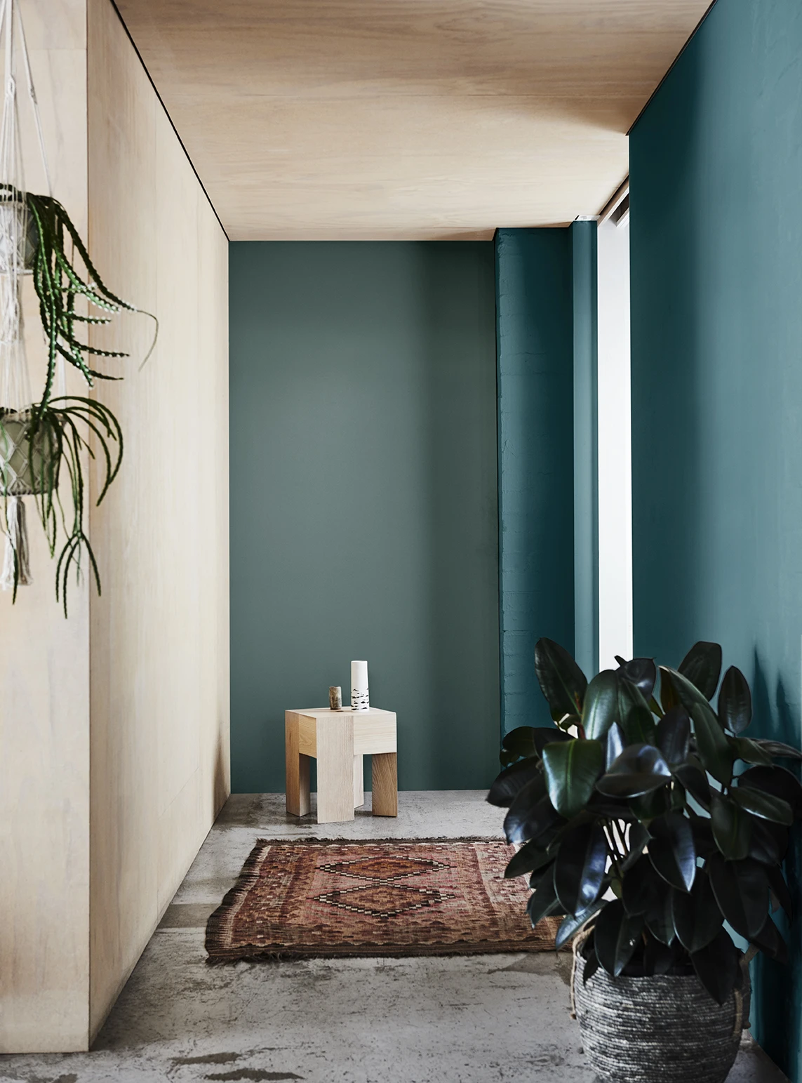 Blue green and timber hallway with plants and rug