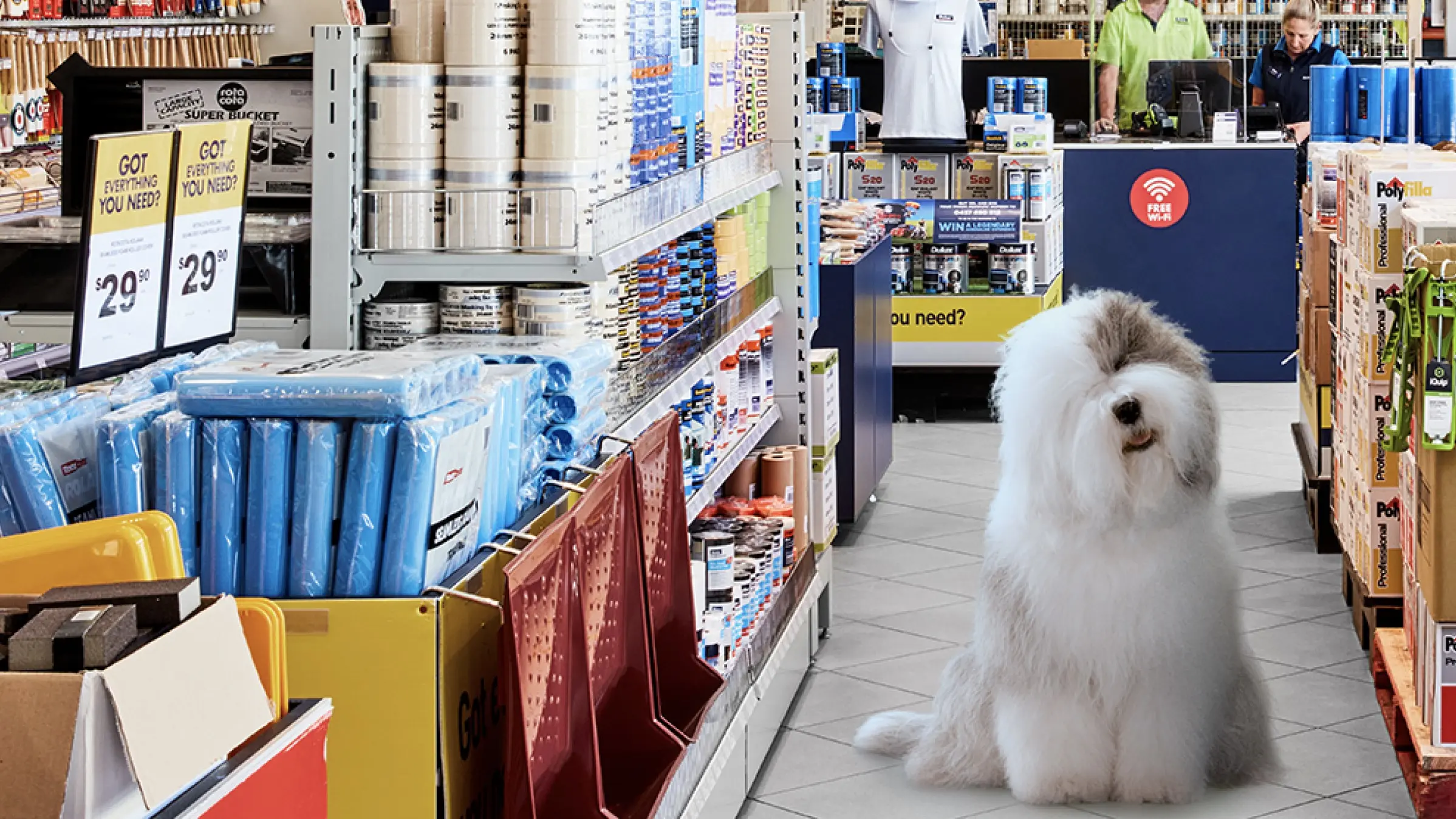 Dulux dog in aisle of store.