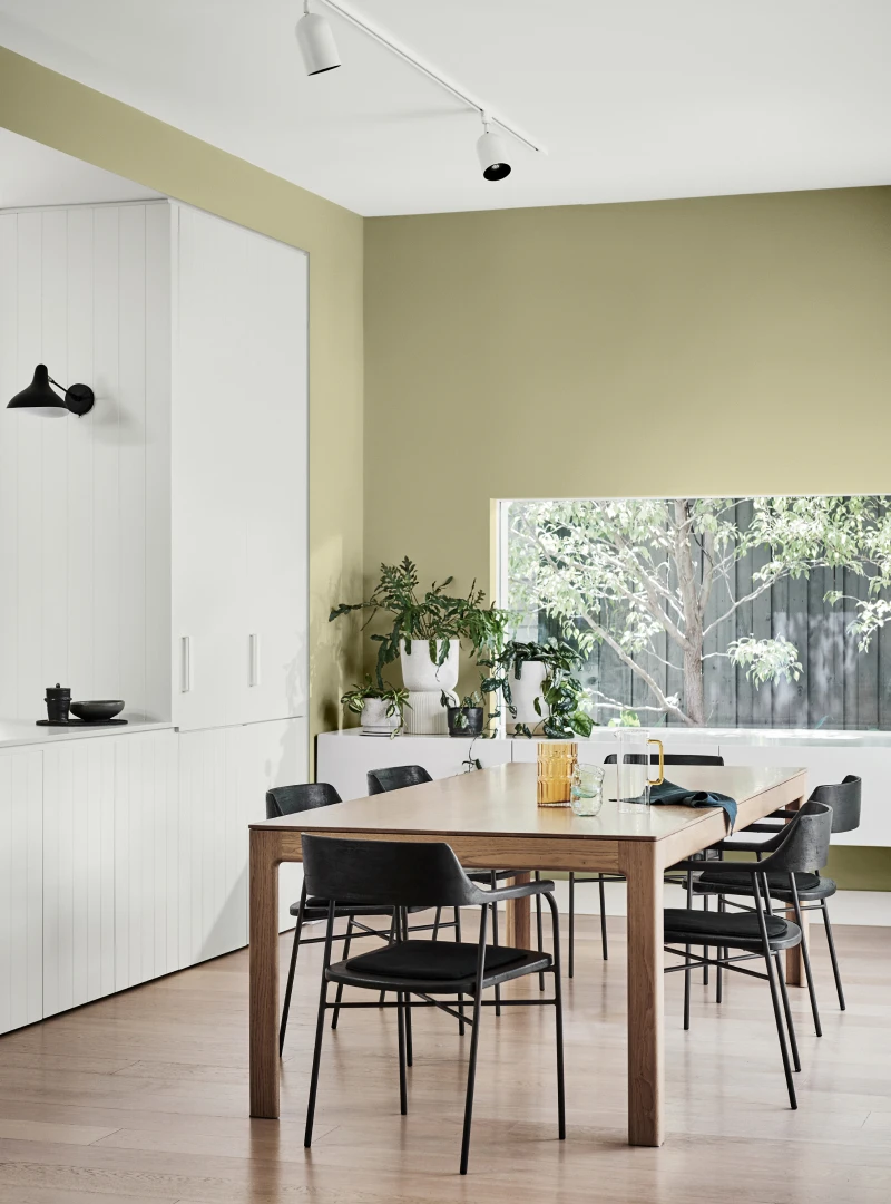 Water Reed S17 Dulux