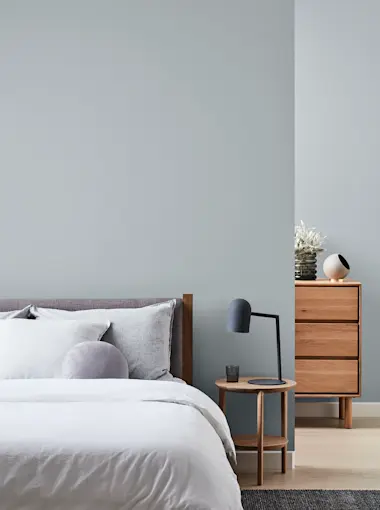 Grey Pail Greys - SG6 | Dulux