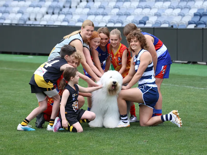 Geelong Football Club partnership Dulux