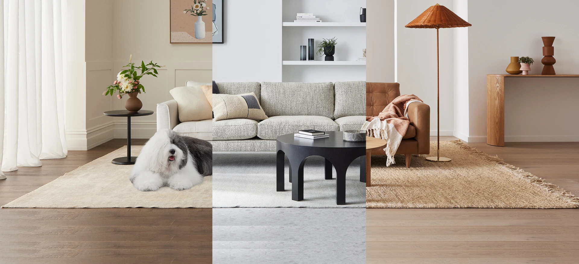 Living room split into three colour schemes with Dulux dog sitting to right.