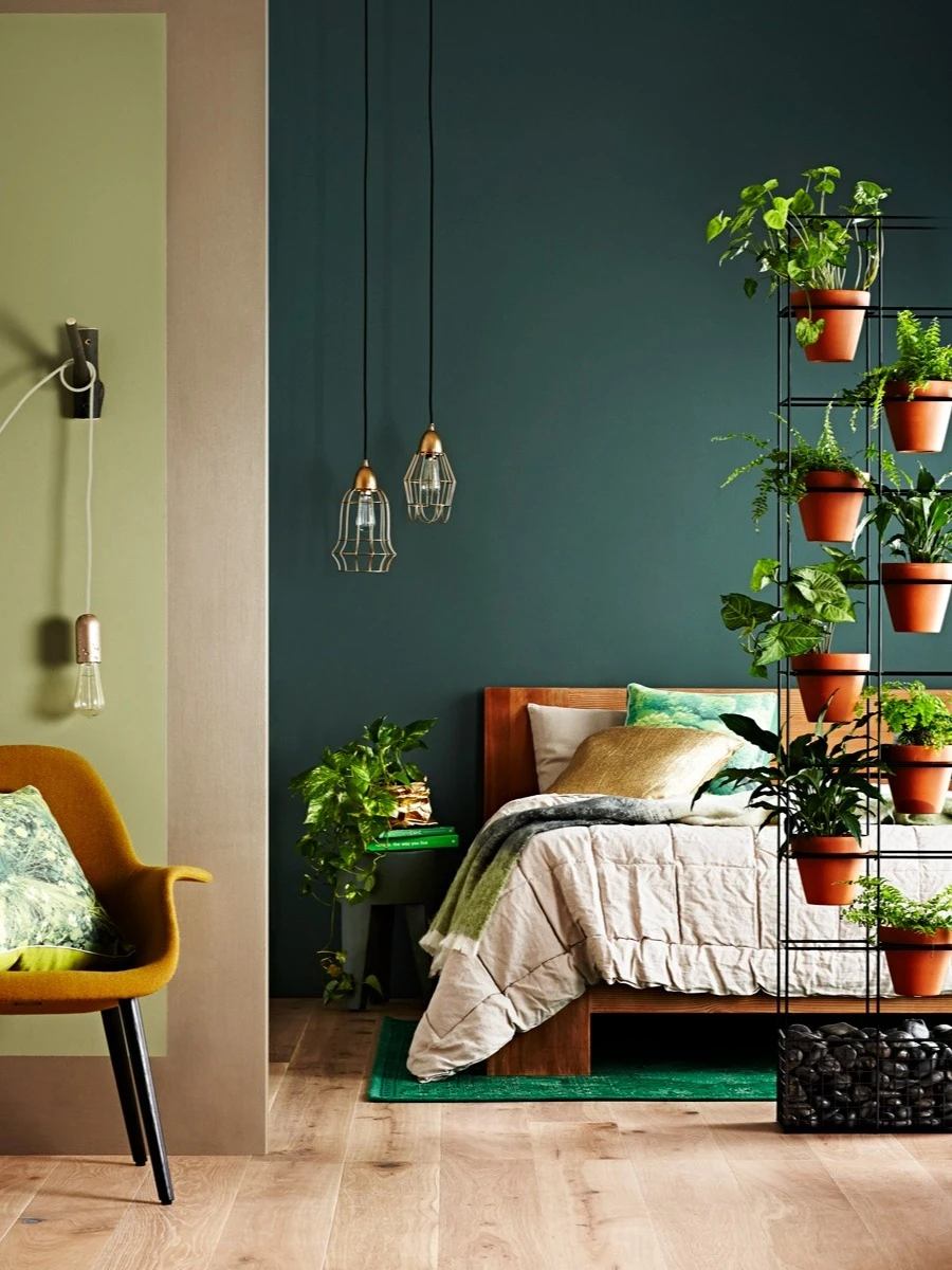 Popular Interior Schemes | Dulux
