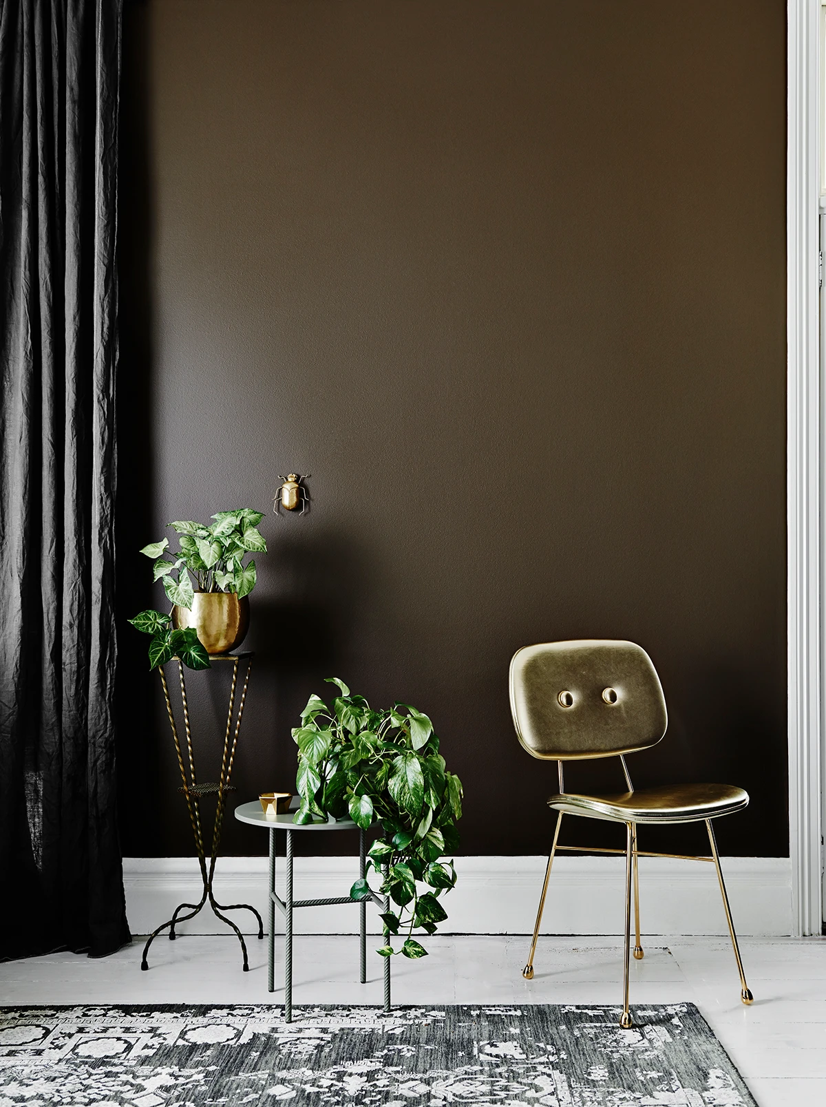 Interior trends, brown wall