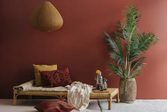 Alex & Corban Walls - Colour Inspiration | Dulux NZ