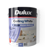 View Premium Ceiling Paint Range | Dulux