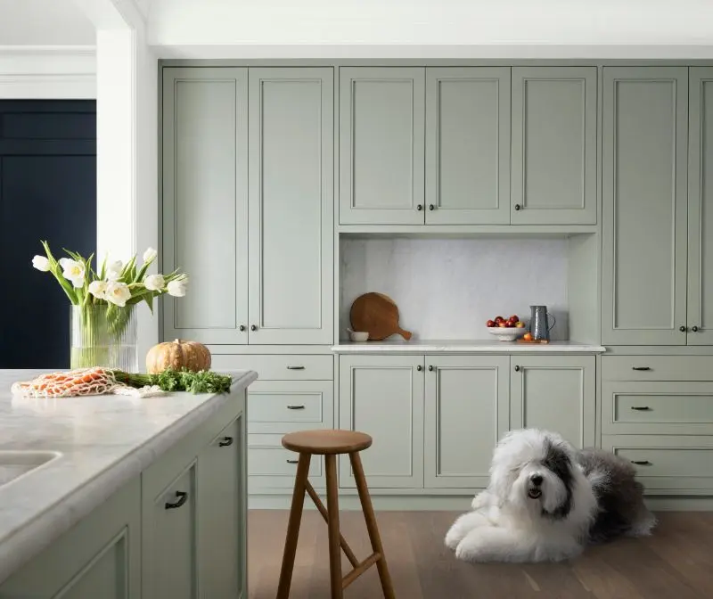 Kitchen with pale green cabinetry and Dulux dog