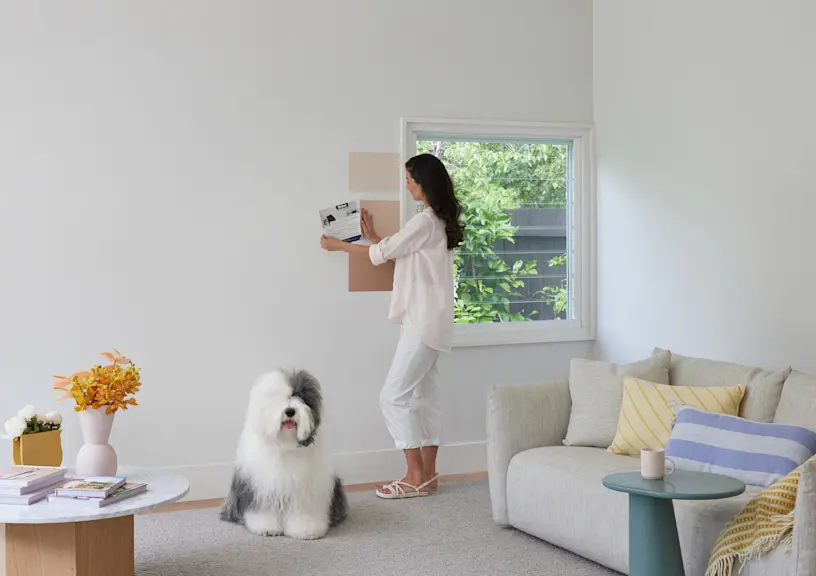 Interior Colour Schemes | Dulux NZ