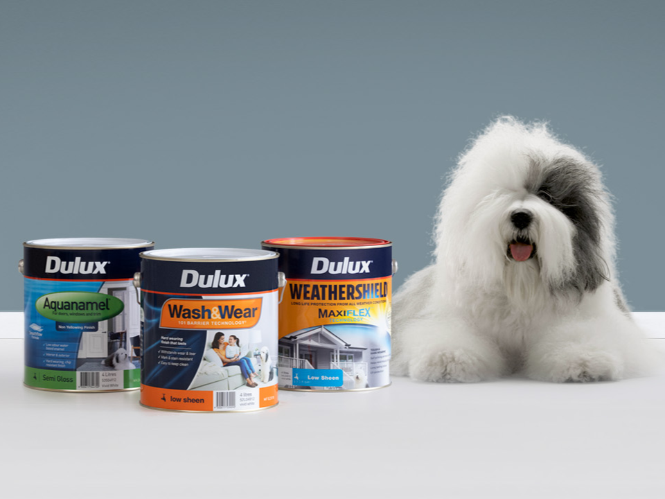 Colour Matching Process Explained | Dulux