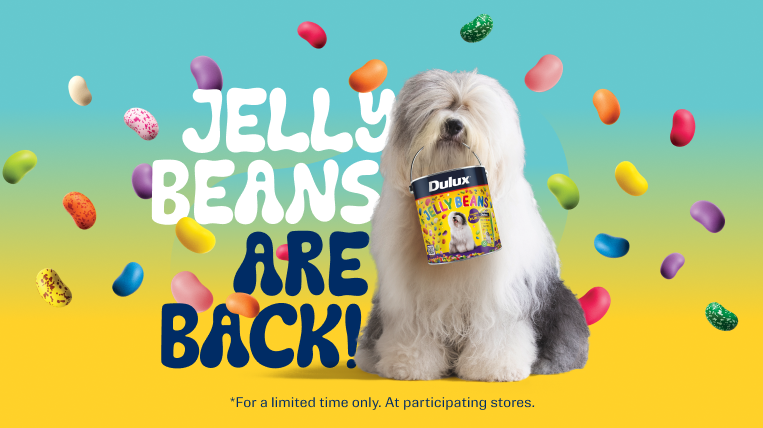 Jelly Beans are back in store now!