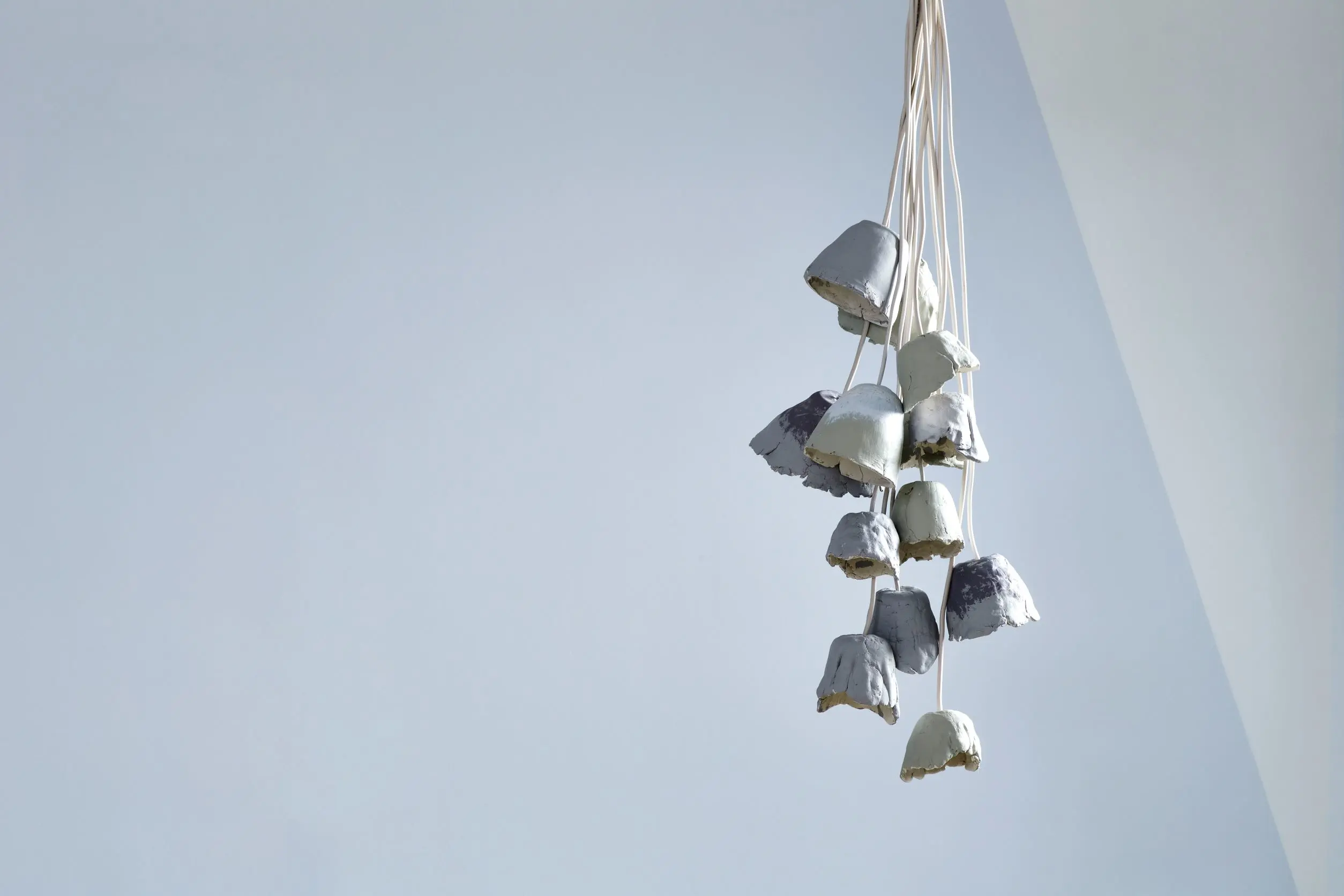 Dried flowers hanging upside down against purple wall