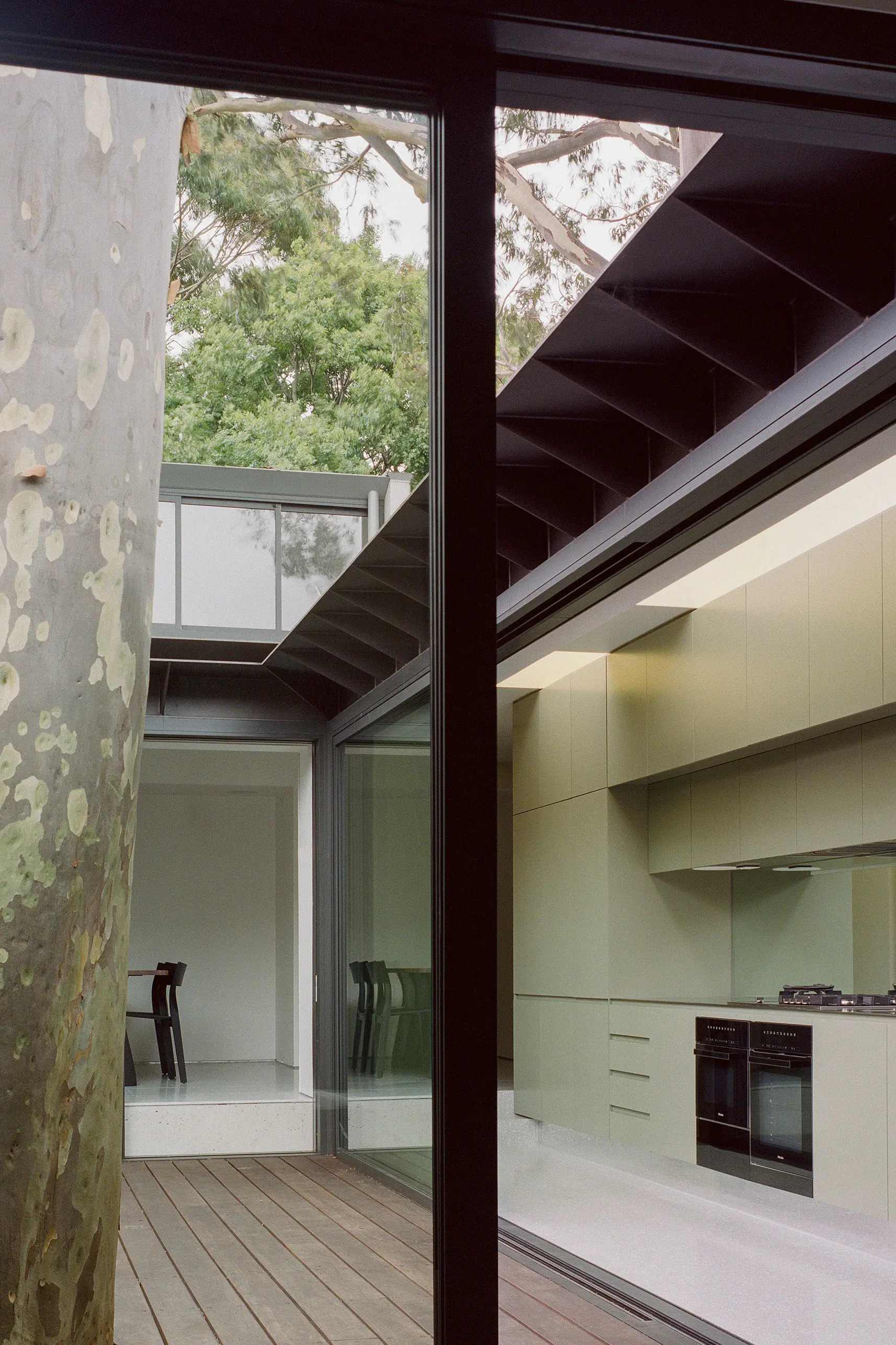 Interior of green kitchen opening to timber deck and gum tree.