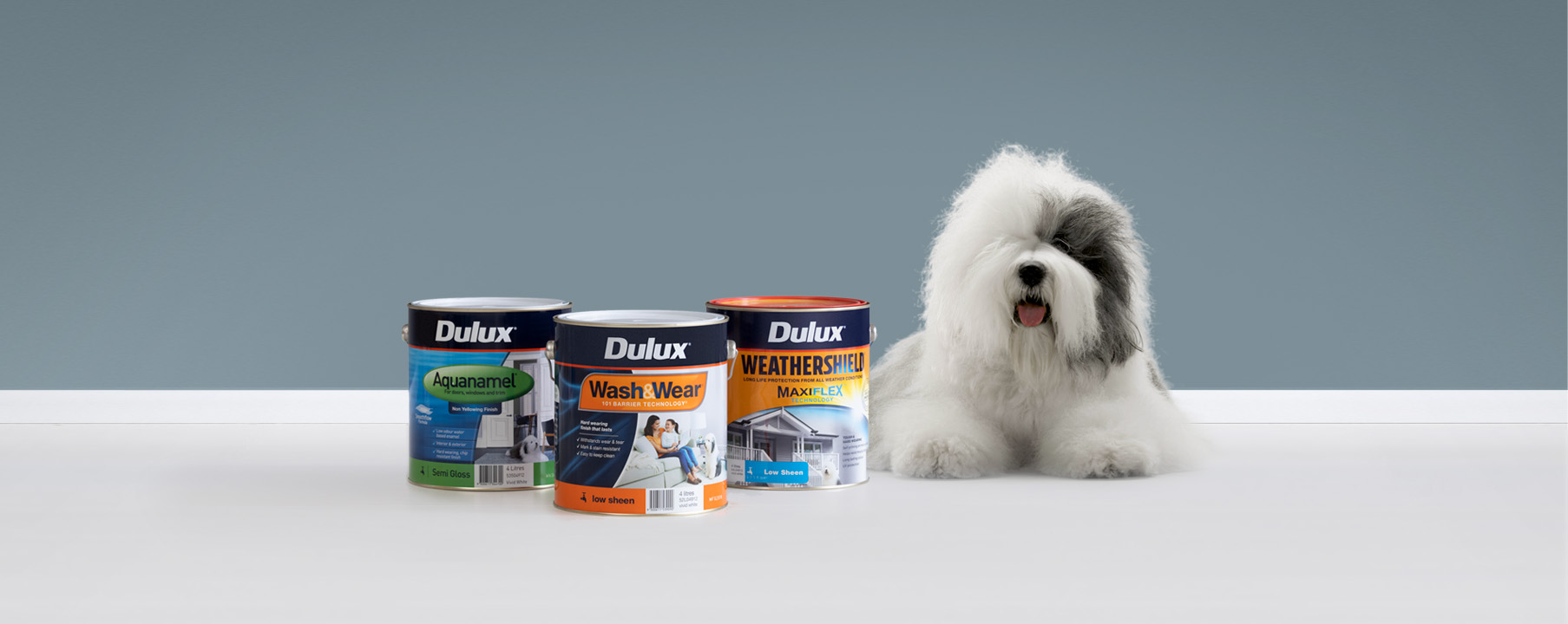 Paint Calculatior How Much Paint Will I Need Dulux   Dulux Products Header 