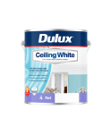 Ceiling white can render