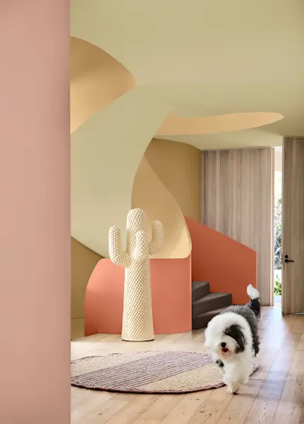 Piglet Browns | Dulux