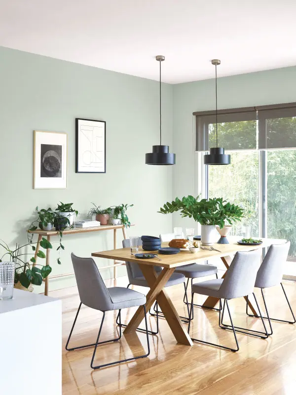 Dining room with timber table, six chairs, polished timber floor, green wall, white ceiling