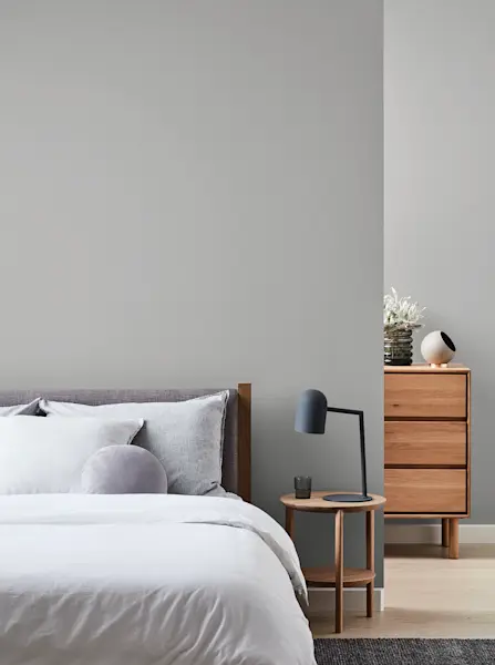 Silkwort Greys | Dulux
