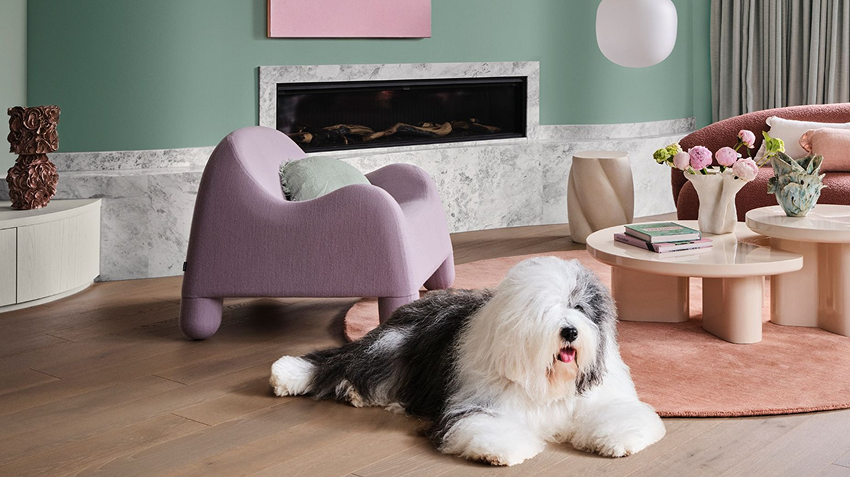 Reimagine your home