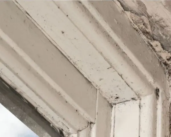 Peeling old white paint on window frame