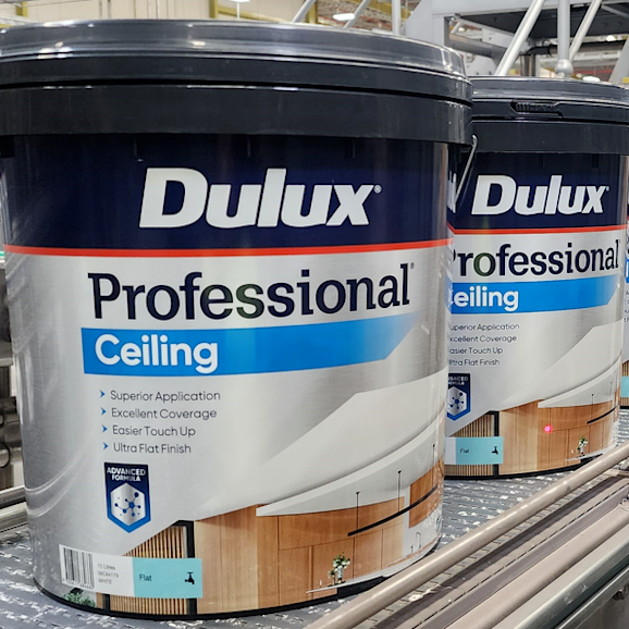 Dulux Professional® Ceiling Flat White Dulux