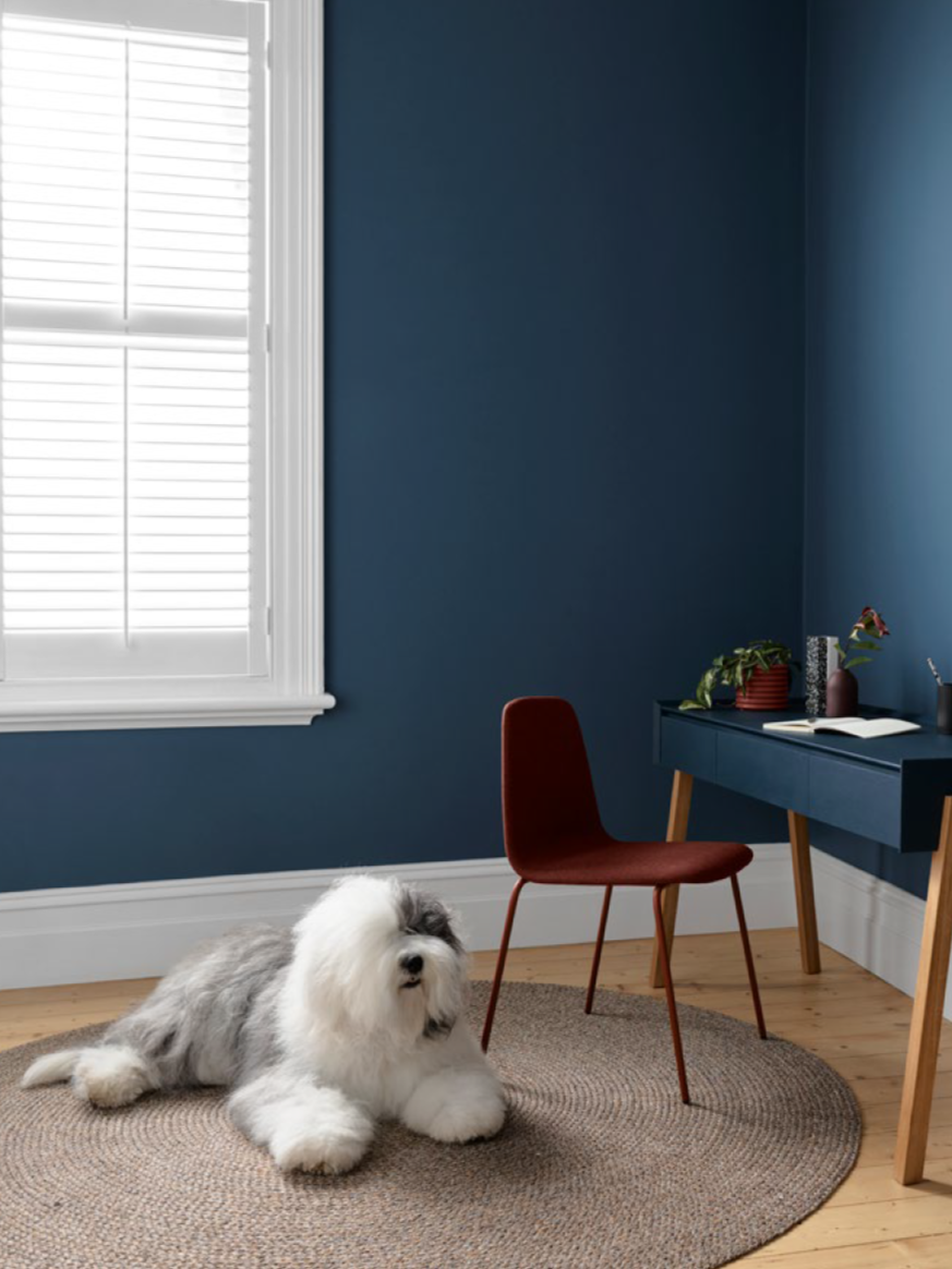 Interior Colour Schemes | Dulux NZ