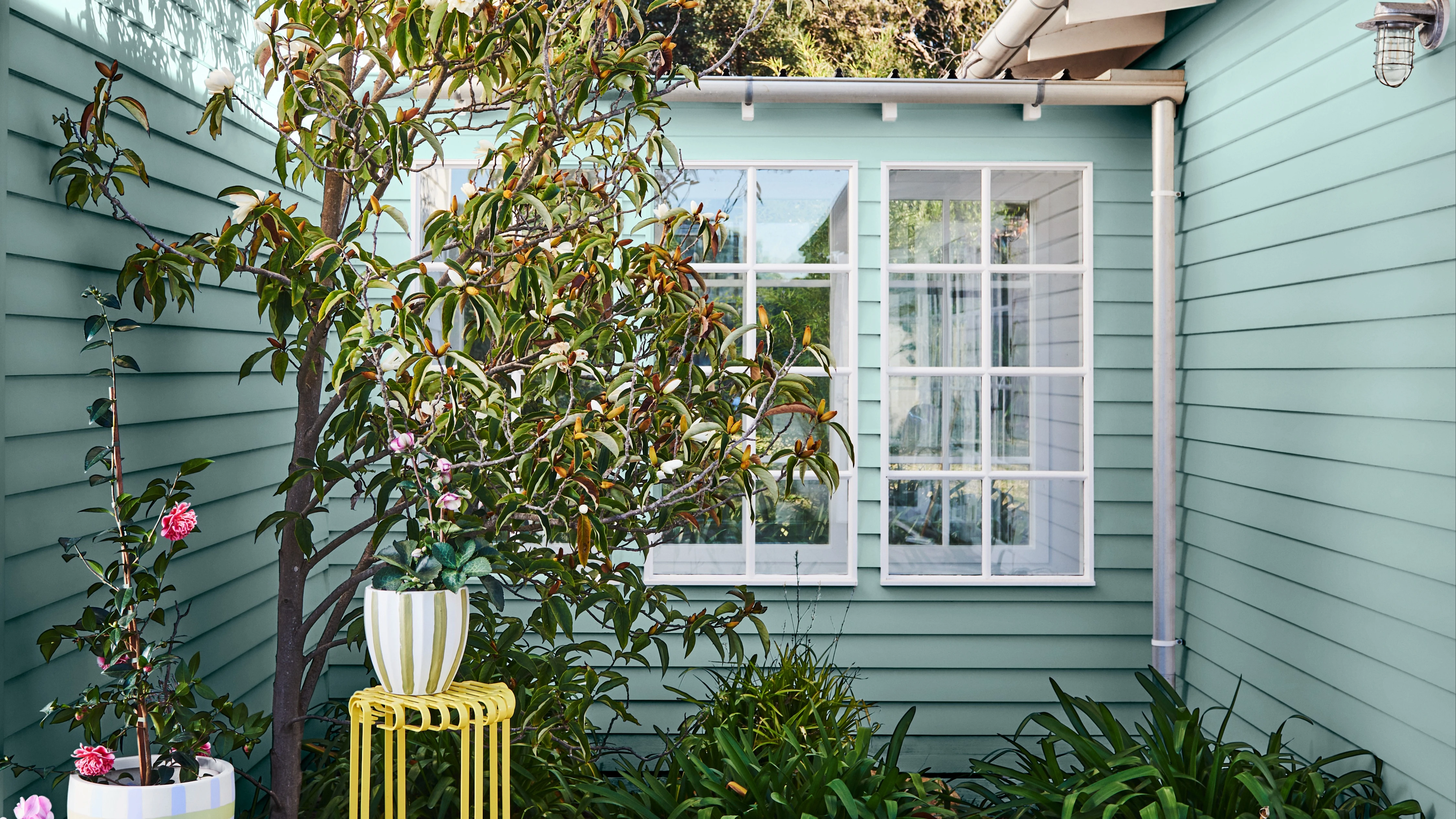 How to paint weatherboards