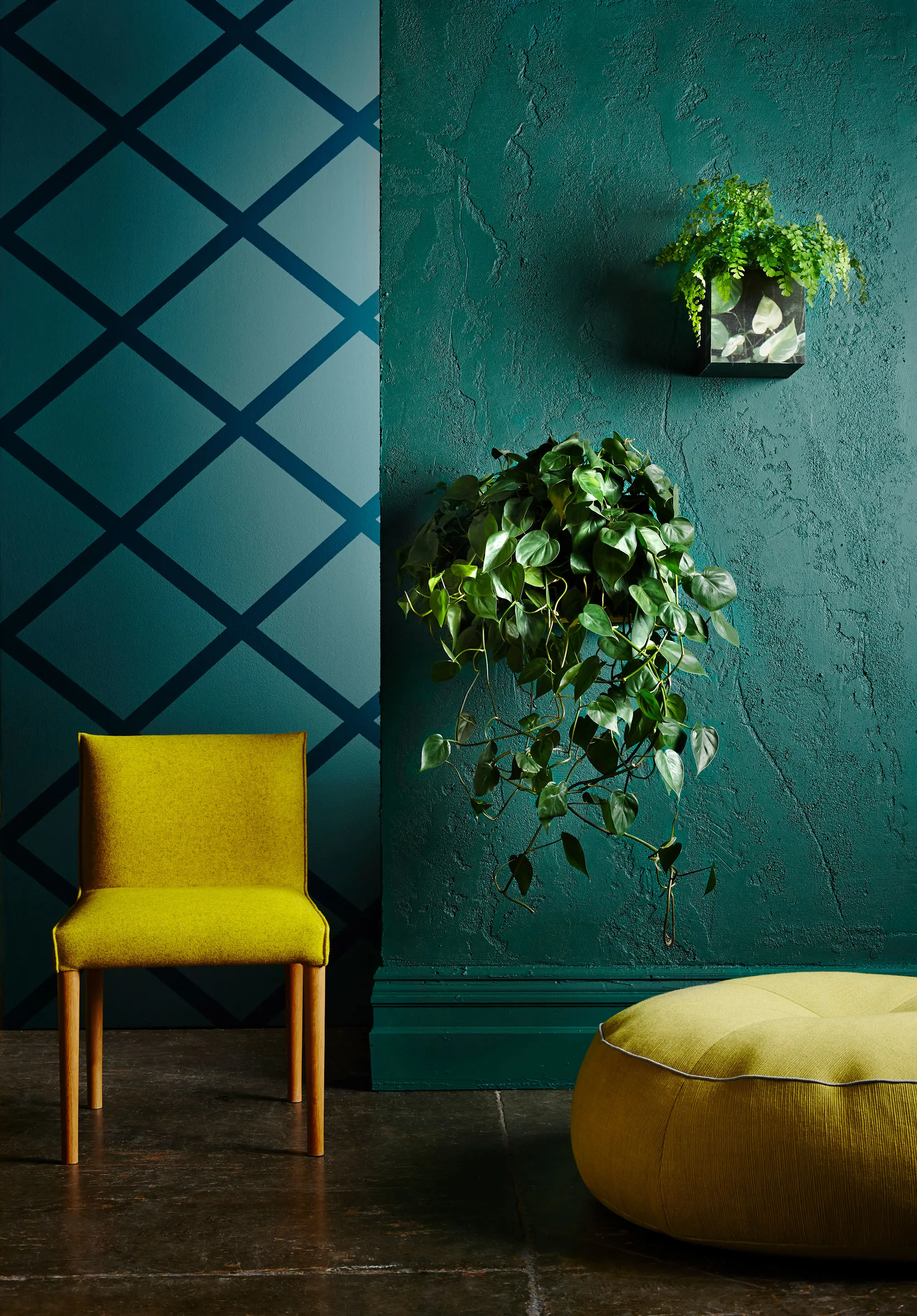 Blue and green wall with yellow chair and hanging plants.