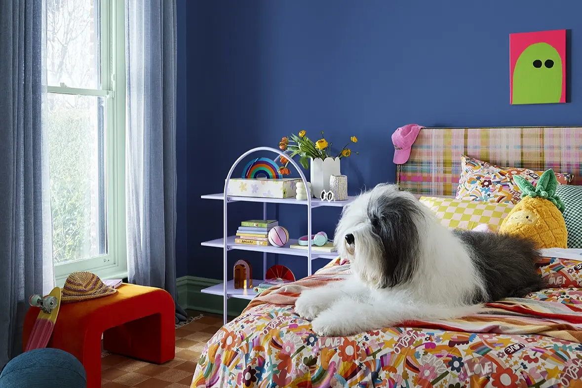 Royal blue child's bedroom with colourful linen featuring the Dulux dog