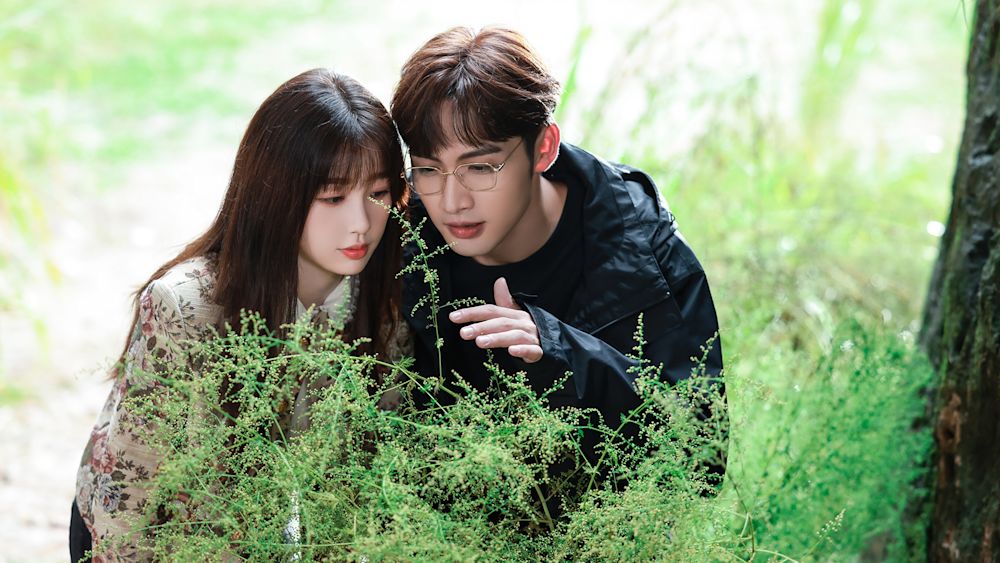 2人の恋の森 ~A Romance of the Little Forest~ 場面写真