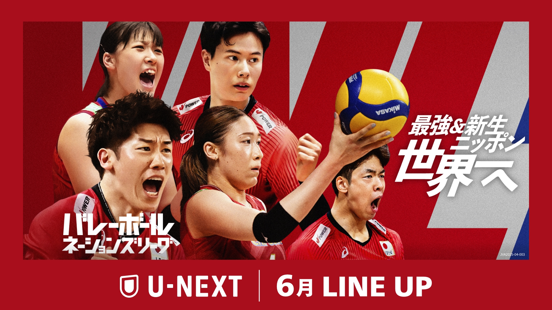 横浜DeNAベイスターズ開幕戦 公式ボール 24.3.29 ベイスターズ×カープ 横浜DeNAベイスターズ開幕戦 公式ボール 24.3.29 ベイスターズ