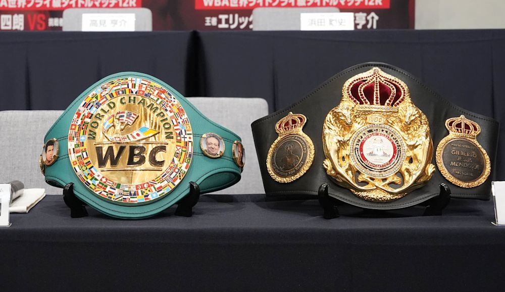 u-next boxing 3 41