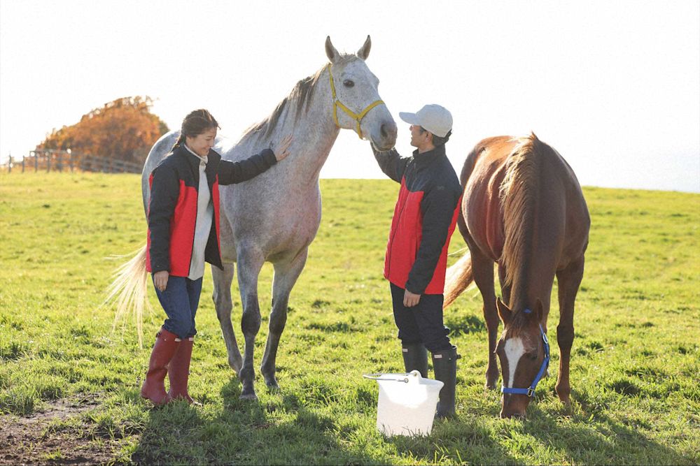 L ◎◎★10s45 064 01