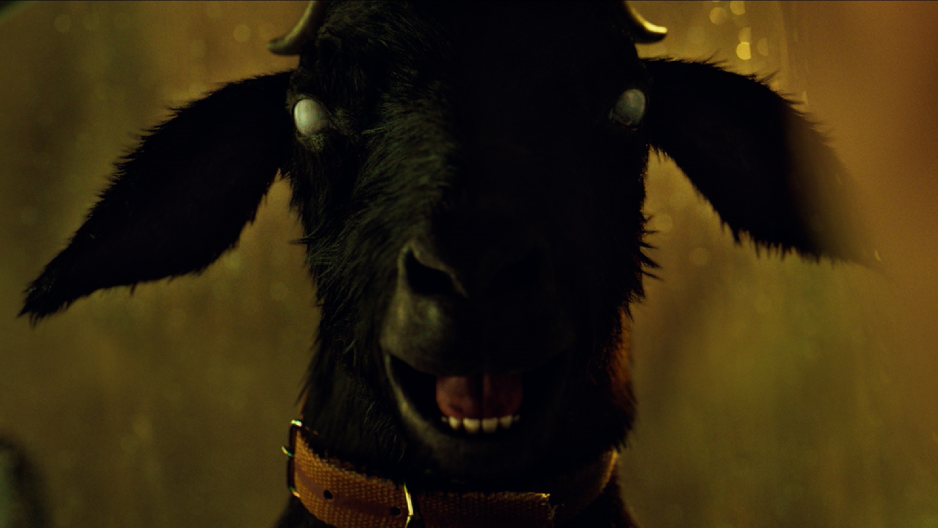 ハンサムガイズ