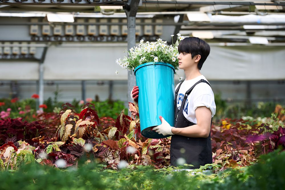 初、恋のために